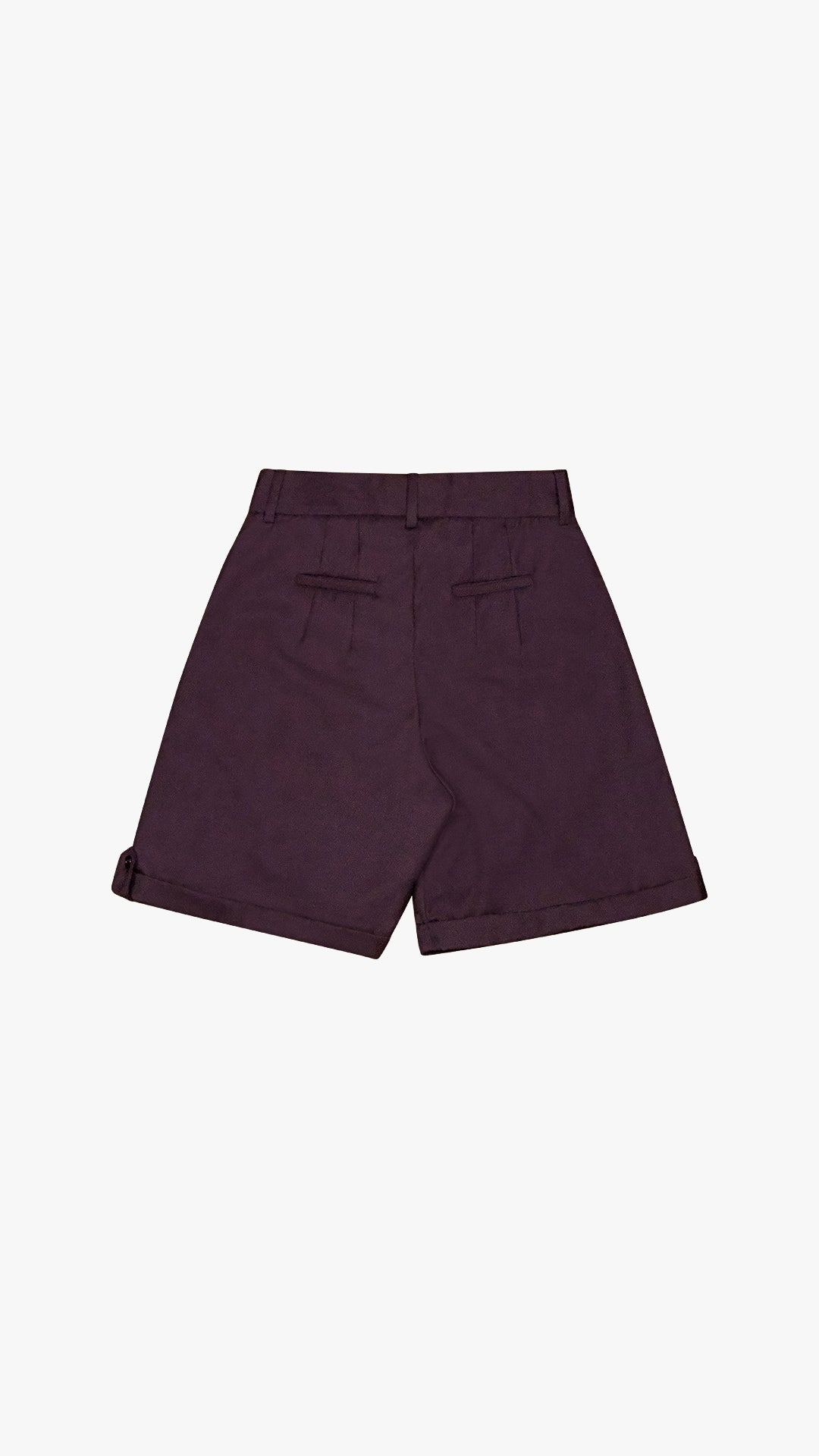 ITALIAN CASHMERE WOOL PLEATED SHORT