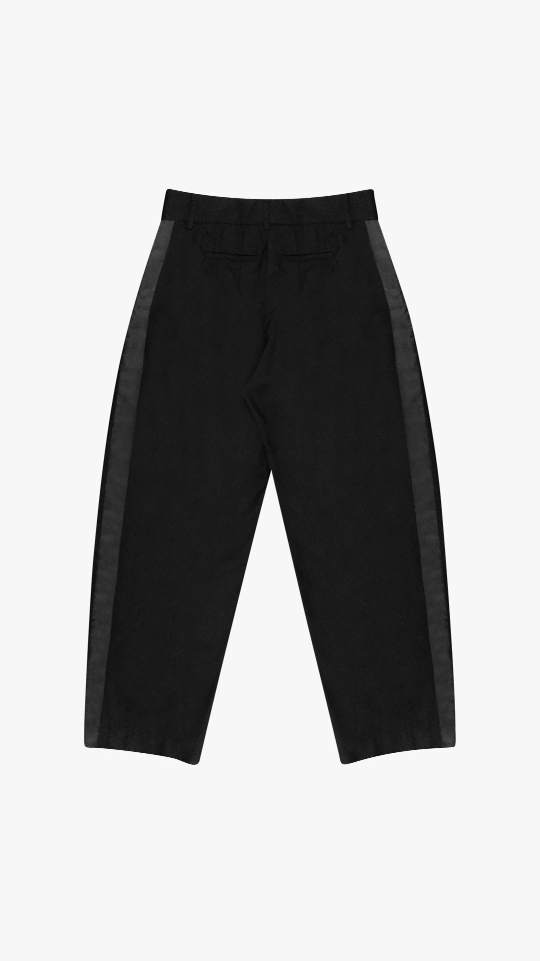 ITALIAN CASHMERE WOOL PLEATED TUXEDO TROUSER